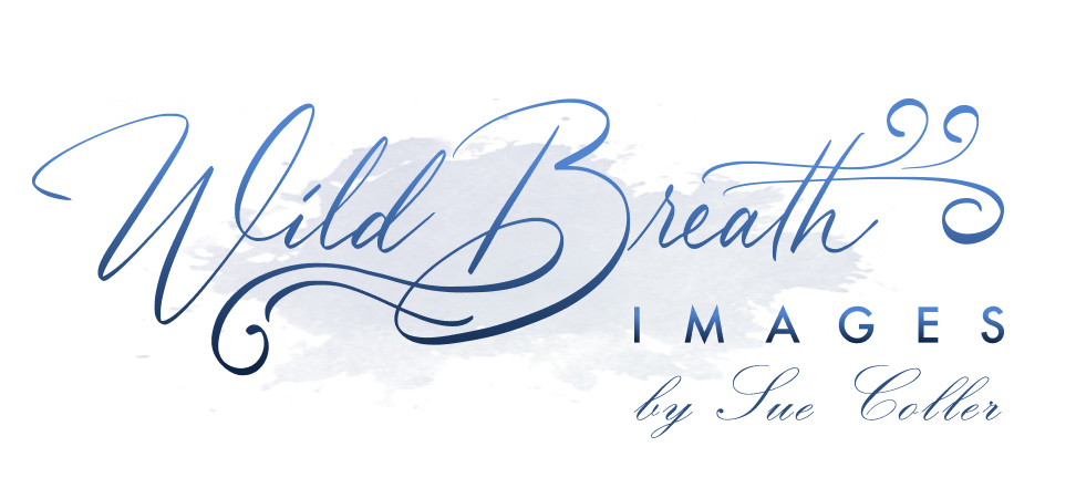 Wild Breath Images by Sue Coller